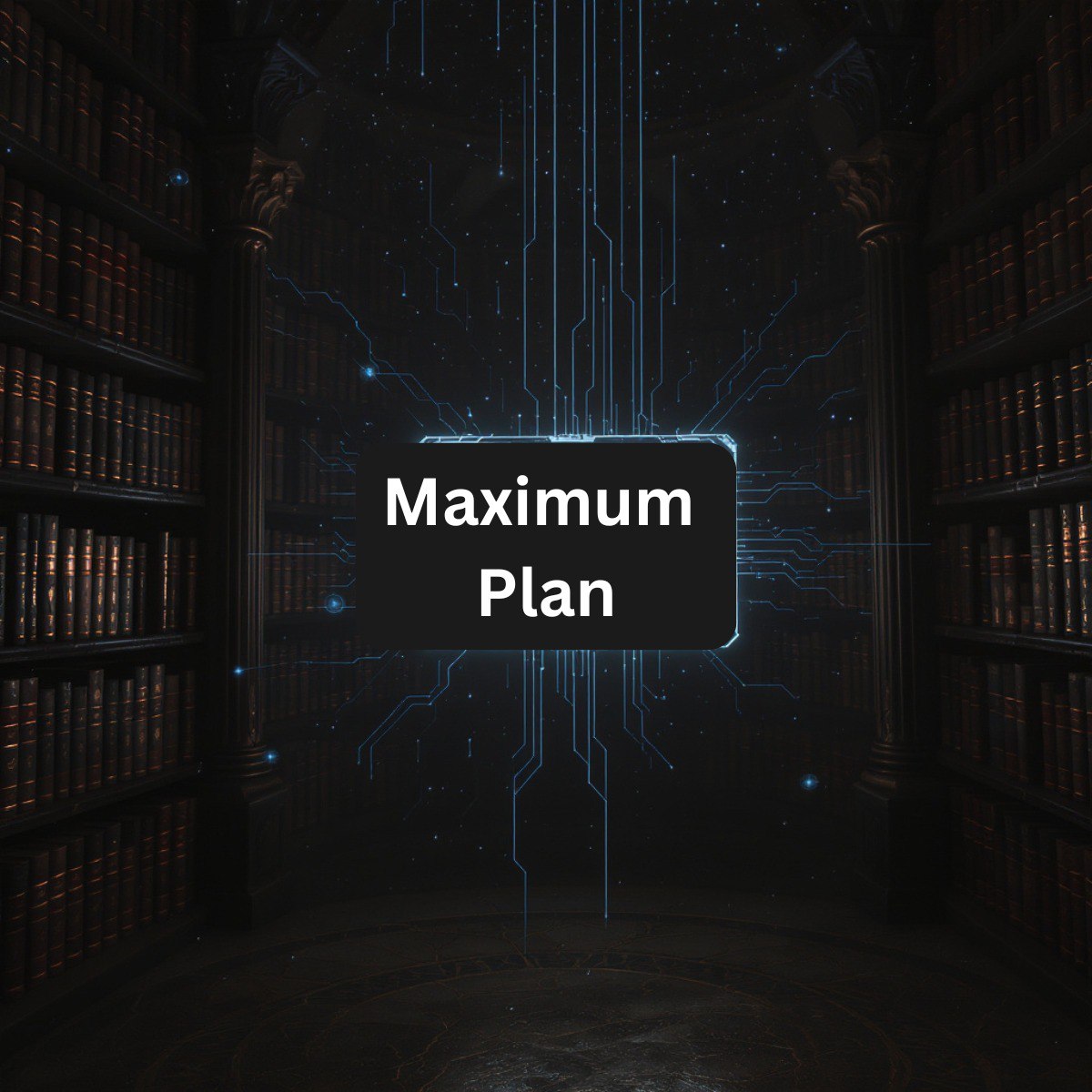 Maximum Plan